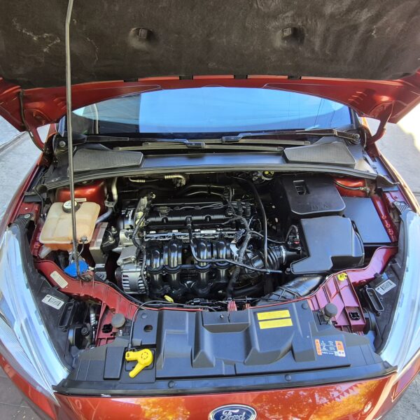 Ford Focus III 1.6 S 5P 2017
