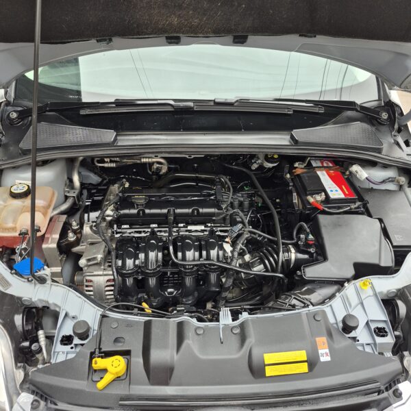 Ford focus 5P 1.6 N MT S 2014